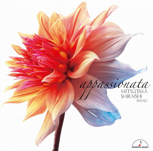 日本少妇╳╳❌❌HaD曰
